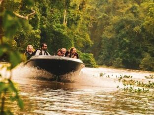 Boat nature guided nature tours Sukau Rainforest Lodge Borneo