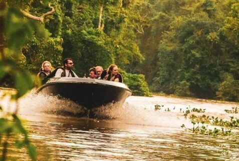 Boat nature guided nature tours Sukau Rainforest Lodge Borneo