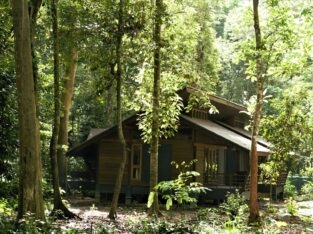 Chalet Sukau Rainforest Lodge Borneo