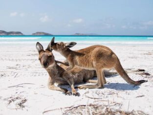 Kangaroo Island, Australia