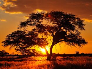 Namibian sunset