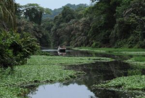 Guided birdwatching tours Mawamba Lodge