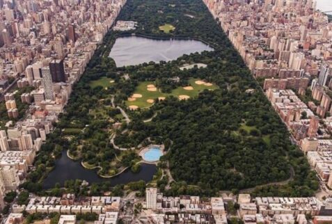 Central Park NYC