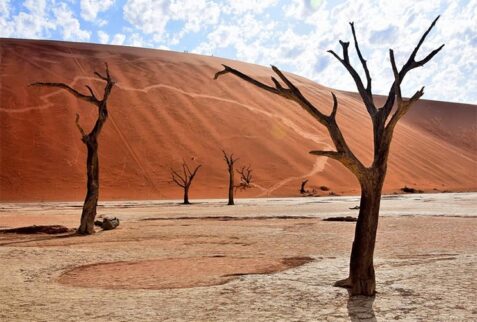 Deadvlei Namibia